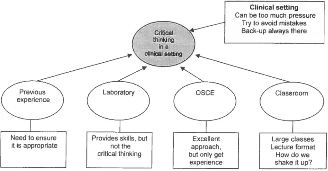 Figure 2 — Opportunities for Critical Thinking in the Nursing Program