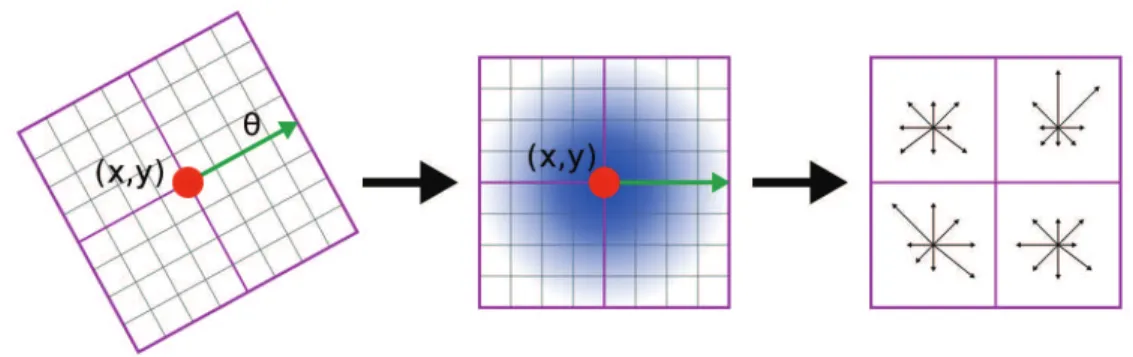 Figure 2.14 – Schéma de calcul du descripteur SIFT d’un point-clé (x, y, σ, θ). L’image I σ