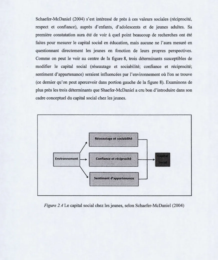 Figure 2.4  Le capital social chez les jeunes, selon Schaefer-McDaniel (2004) 