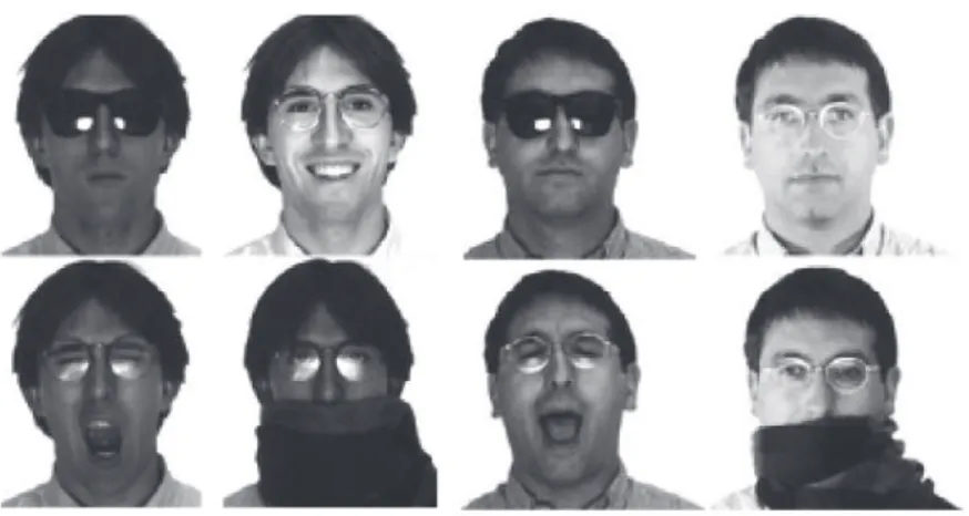 Figure 2.5: Example of images for occlusion from the AR Face Database [91]. of face recognition including disguise