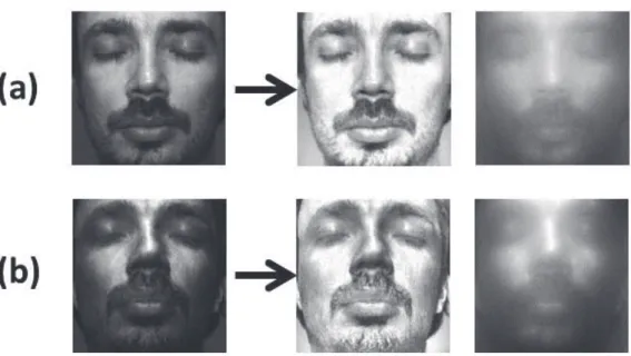 Figure 5.1: Example from the mask database which is created by [98] (a) The real face with texture, the reflectance image and the illumination image of the real face (b) Same images associated with the mask of the same person.