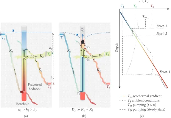 Figure 2: Conceptual schematic of temperature profiles in a fractured aquifer: (a) ambient scenario, (b) pumping scenario, and (c) 
