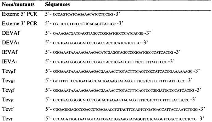 Tableau 1. Séquences des amorces utilisées pour la  génération des différents mutants  de l'IPjR-1  Nom/mutants  Séquences  Externe 5' PCR  5'- CCCAGTCATCAGAAACATCCTCCGG  -3 '  Externe 3' PCR  5'- CGTTCTGTTCCCCTTCAGAGTCACTGC  -3'  DEVAf  5'- GAAAGACGATGAGG