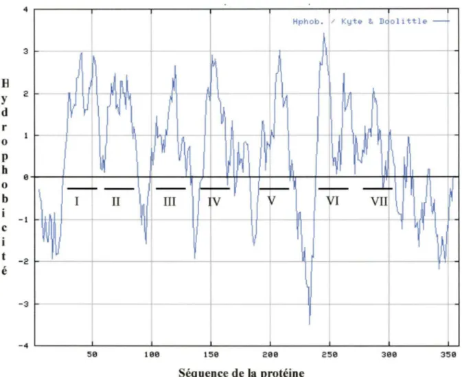 Figure 12:  Analyse d'hydrophatie de la  séquence d'acides aminés de fAT 1  selon 