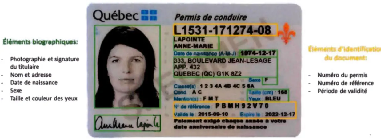 Figure 1.3 - Spécimen de  permis  de conduire québécois  avec des  éléments  reliés  à  l'identification  du  titulaire (en  vert) et  à  l'identification  du document (en  jaune)