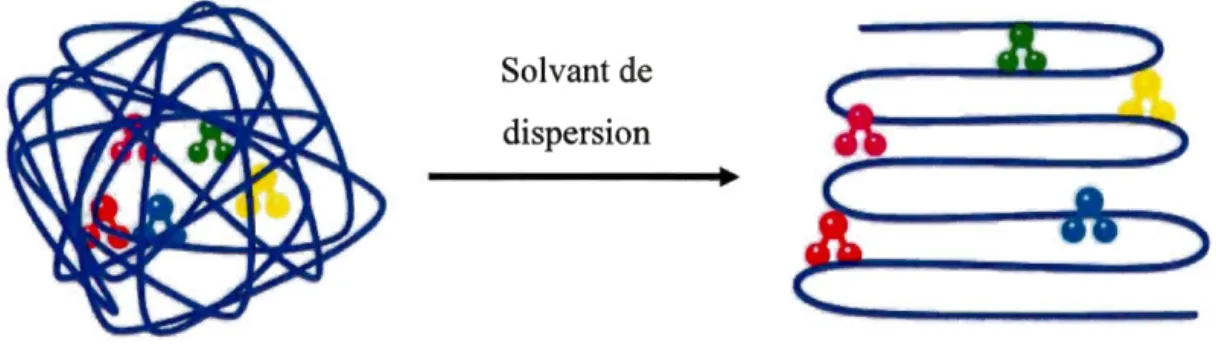 Figure 3.2 - Principe de la  dispersion  des chaînes  polymériques  pour l'extraction des  additifs