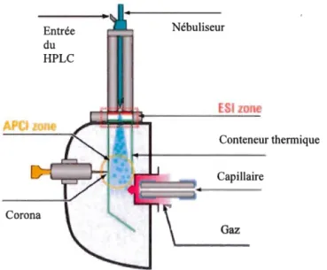 Figure 3.6 - Schéma d'une source multimode combinant les  éléments pour l'ionisation  APCJ  et ESI
