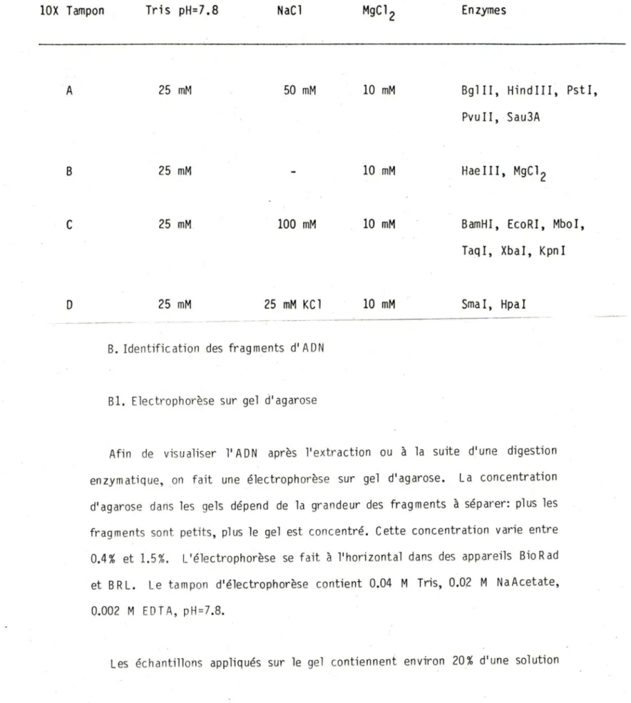 Table au  I.  Composition  des  tampons  selon les  enzymes  de  restriction  employés 