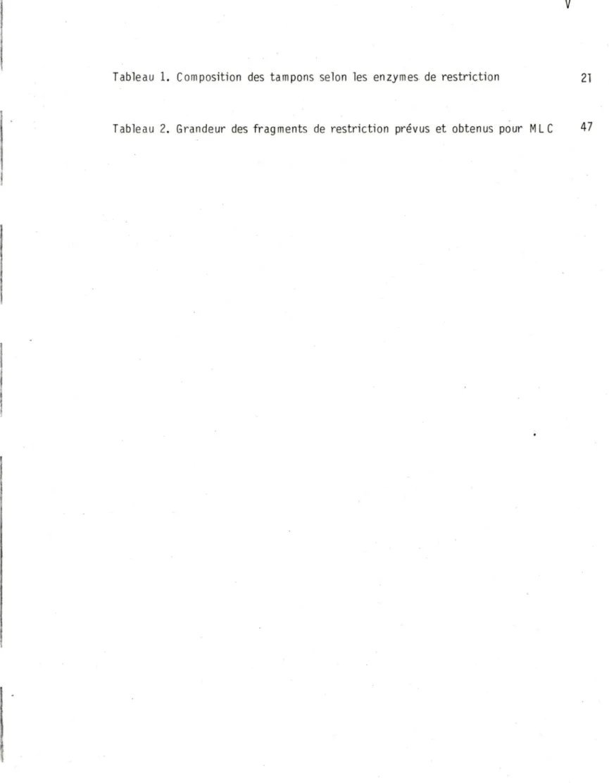 Tableau  1.  Composition  des  tampons  selon  les  enzymes. de  restriction  21 