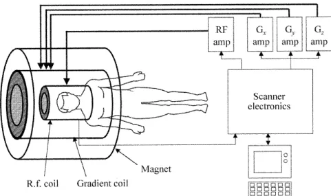 Figure 1.4: Diagram of an MRI scanner: the magnet produces the static magnetic field B 0 ; the