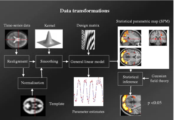 Figure 1.7: Typical data analysis performed with the SPM software. Figure and caption issued from the PhD thesis of Bertrand Thirion [162].