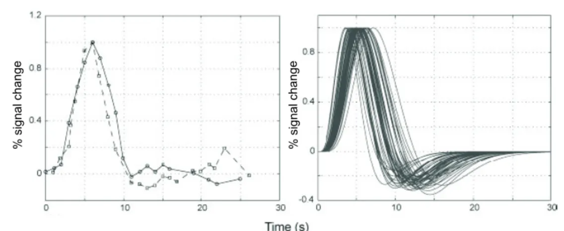 Figure 2.4: Time course of the BOLD response. Left: measurements from experiments in the motor cortex (Liu et al., 2000 [119]) (circles) and in the visual motor cortex (Glover et al., 1999 [67]) (squares), in response to a movement or a visual stimulation 