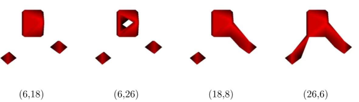 Figure 4.3: Mesh extracted from the same level set function by the topology-consistent marching cubes algorithm, when using different connectivity pairs.