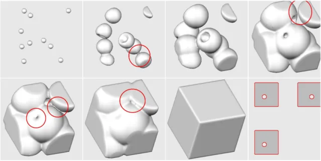 Figure 4.8: Segmentation of a cube containing three cavities with the genus preserving level set method, starting from 10 random seed points