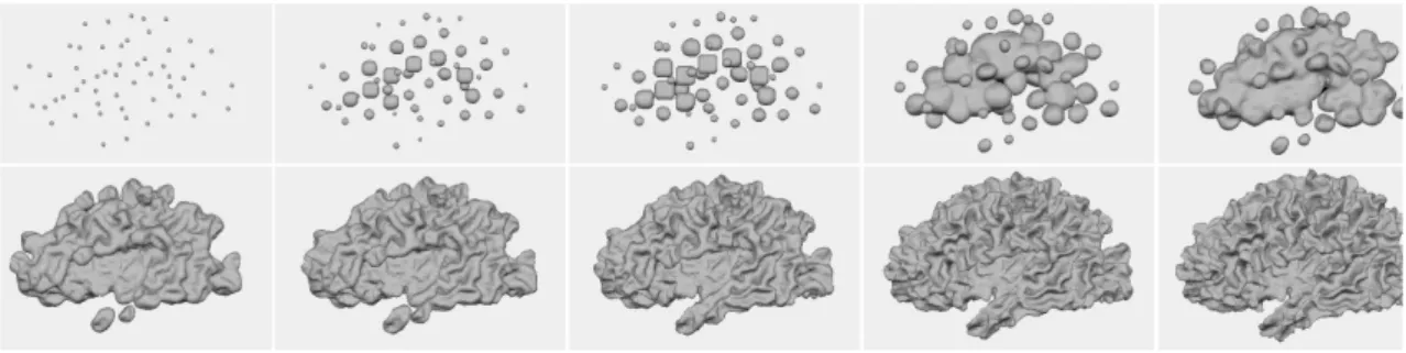 Figure 4.10: Segmentation of the cortical surface from MRI, starting from 55 seed points.