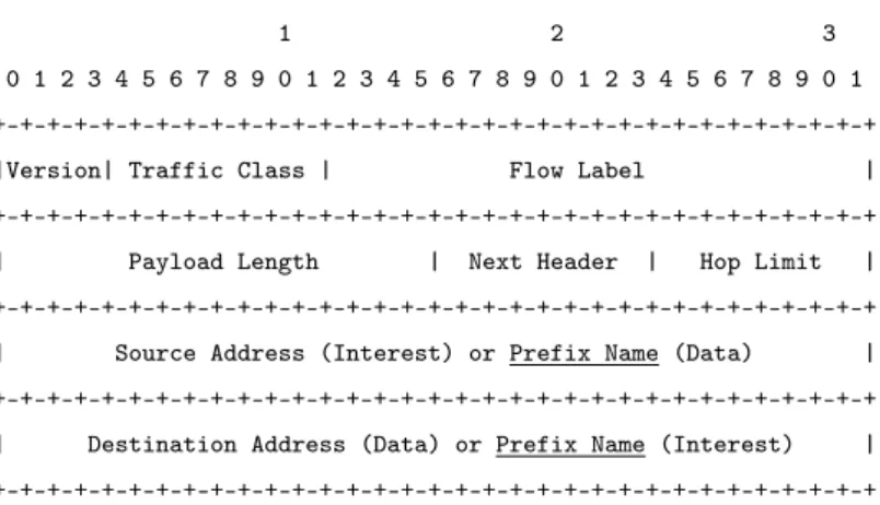 Figure 3.1: hICN interest/data packet inside IPv6 header