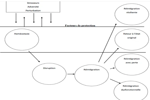 Figure 1. Modèle de la résilience (Richardson, 2002) 