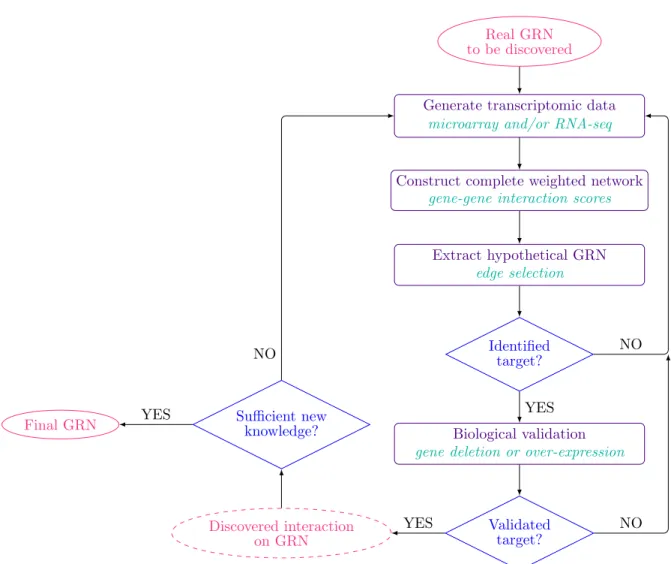 Figure 2.12 ∼ Summing-up of the main stages of genetic engineering ∼