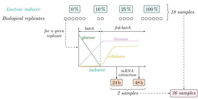 Figure 3.6 ∼ Experimental design for RNA-seq data ∼
