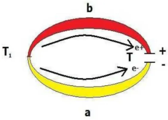 Figure 1 – Effet Seebeck [ 1 ].