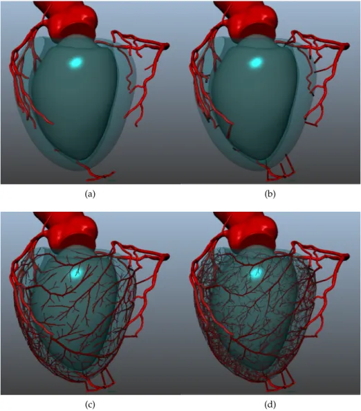 Figure 19 – Illustration of forest growth on patient. (a) : inputs provided. (b) : distributing first segment on left ventricle surface for each tree.