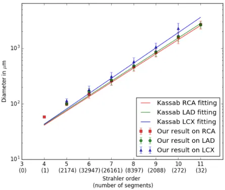 Figure 24 – Measures along Strahler order for each label on 6 patients: Av- Av-erage segment diameter compared with Kassab’s fit.