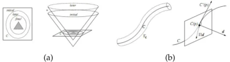Figure 7: Schema of segmentation with level-sets. (a) 2D case (left - evolving curve, right - curve evolution with level sets)