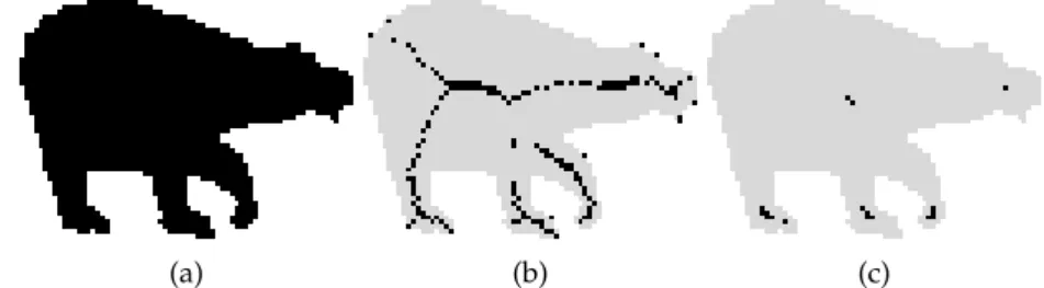 Figure 18: Discrete medial axis: (a) the silhouette of a bear; (b) its discrete medial axis, with the 4 -connected neighborhood as unit ball; and (c) the ultimate erosion with the same unit ball