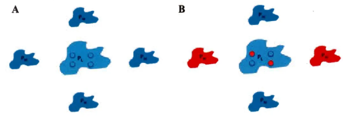 Fig. 1 Theor e tical prediction s  e x plaining the relationship betwe e n landscape context and  local  maladaptive trait di v ergence of the local population phenotype  (PL)  subject to  incoming migration  from the migrant population  (PM)  inhabiting i