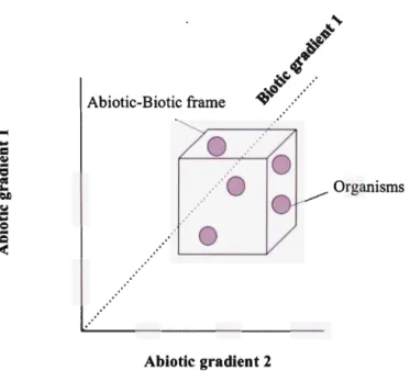 Fig.  2 A  graphical  representation of abiotic  and  biotic  environmental  gradients 