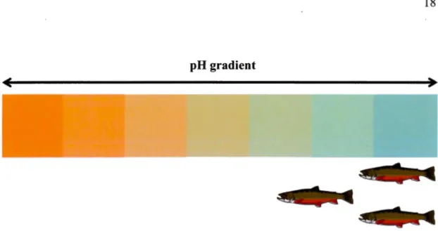 Fig. 4 The absence / presence of  fish  determined along  a  pH  environmental gradient