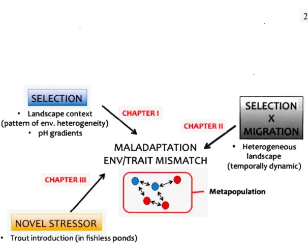 Fig. 6  Unified and  cohesive organization of chapters addressing through a combination of 