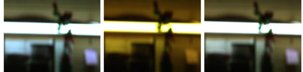 Figure 2.9. Illumination / chromatic changes in a high-speed video sequence under fluorescent lighting.