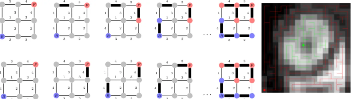 Figure 1.7: Illustration of two Maximum Spanning Forest (MSF) algorithms behavior, and segmentation result on a real image.