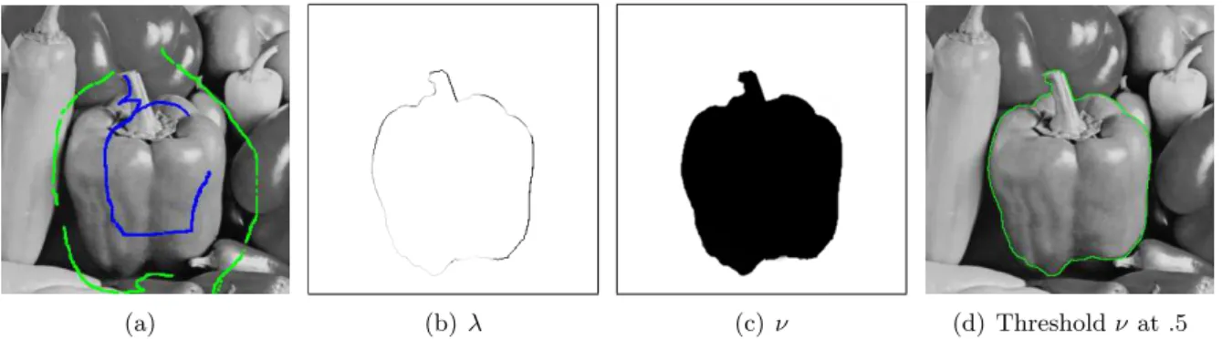Figure 2.3: Solution to the dual of the CCMF problem in a seeded segmentation example.