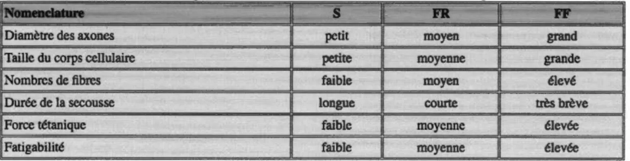 Tableau 1.1 :Tableau récapitulatif des  unités motrices et de leurs caractéristiques.  Source  de  (Science report