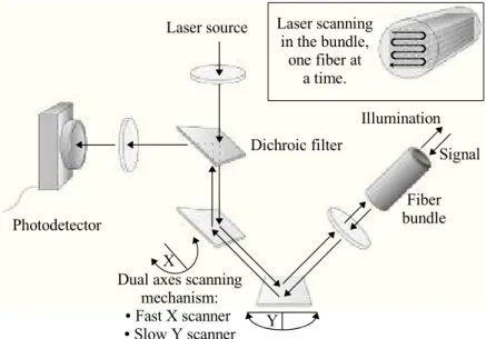 Figure 2.3: Physics of acquisition for pCLE imaging.