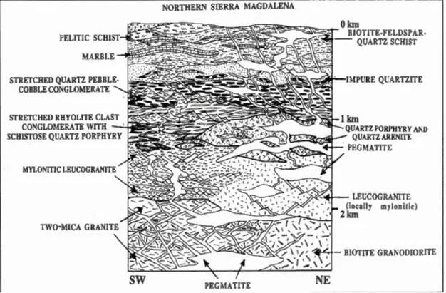 Figure  26  :  Coupe  stratigraphique  montrant  la  relation  de  recoupement  entre  les 