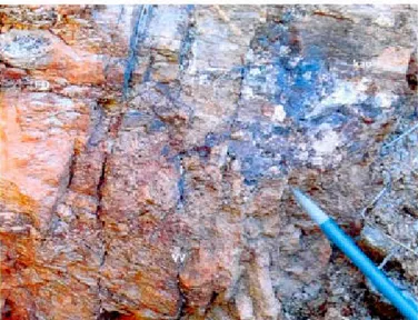 Figure 50  :  Placage de  kaolinite dans  l es  plans des  fi  lon ets  discordants  (FD),  Corales,  s tation  