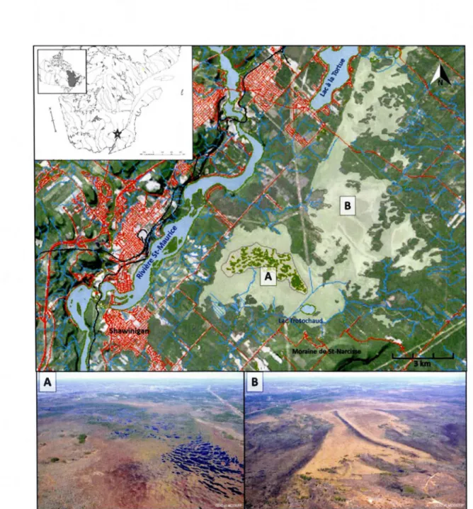 Figure 2.1  Localisation du complexe tourbeux  de Lac-à-la-Tortue et des  secteurs ombrotrophe (A) et 