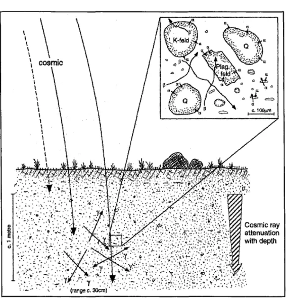 Figure  3.3  Représentation schématique  des  principales  sources de  radiations  dans  les  dépôts  à  l'état  naturel
