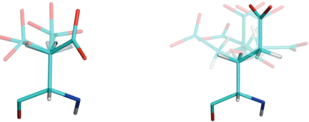 Figure 1.9 – Selected rotamers for side chains of ASP and GLU (left, right).