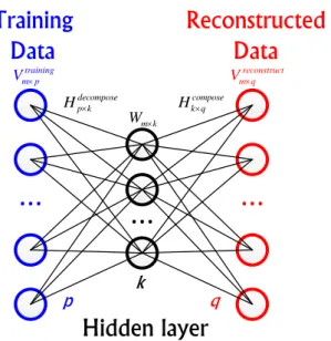 Figure 1.13: Explanation of NMF from the model of neural networks. (Derived from Figure 3 in [113]).