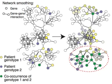 Figure 1.5 – Diffusion of mutations on a gene network. The figure was taken from [ Hofree et al