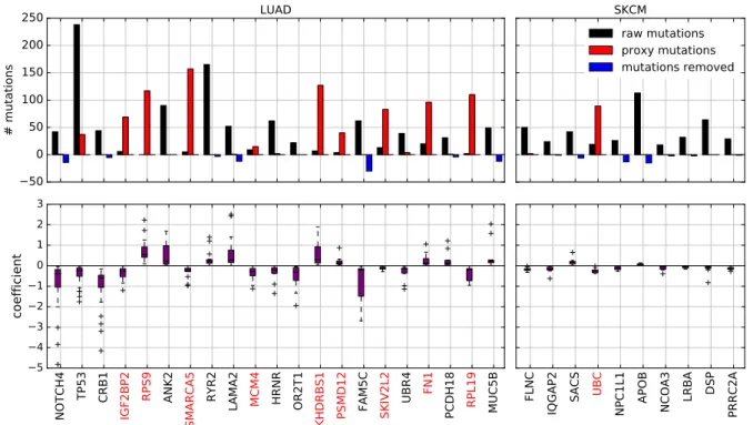 Figure 2.4 – Genes frequently selected in the survival prediction model for LUAD (left) and SKCM (right) learned using the NetNorM representation of mutations with Pathway Commons as gene network