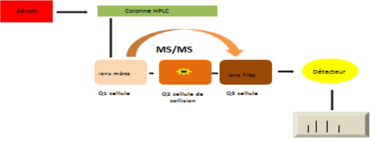Figure 3 : Principe de la méthode LC-MS/MS 