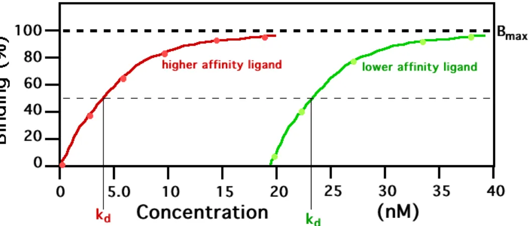 Figure 1.4: Results of a filter binding assay.
