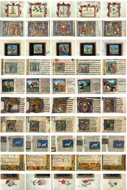 Fig. 3.11: Les 10 classes de 5 images utilisées pour choisir la valeur de α.
