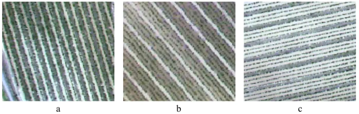 Fig. 1.11: Exemples de différentes pratiques d’entretien de l’interrang. a) enherbé / travaillé un interrang sur deux ; b) travaillé / désherbé trois interrangs sur quatre ; c) travaillé / enherbé trois interrangs sur quatre.