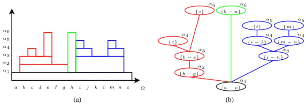 FIG. 3.2 – Illustration du processus de croissance. (a) Ensemble flou à représenter après fusion